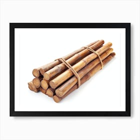 Bamboo Sticks 1 Art Print