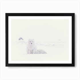 White Arctic Fox Snowy Landscape Art Print