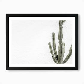 Green Cactus_2251410 Art Print