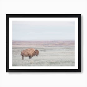 Bison On Landscape Art Print