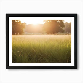 A Close Up Image Of A Field Of Tall Grass With The Sun Setting In The Background Art Print