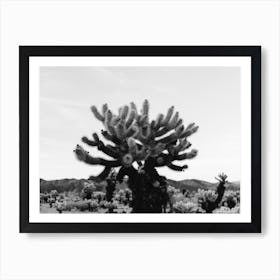 Cholla Cactus Garden XI Art Print