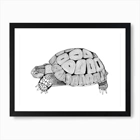 Tortoise Art Print