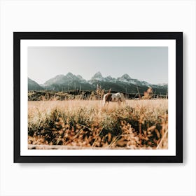 Montana Horse In Field Art Print