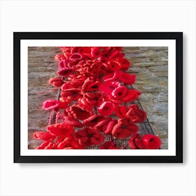 Poppies For Remembrance Art Print