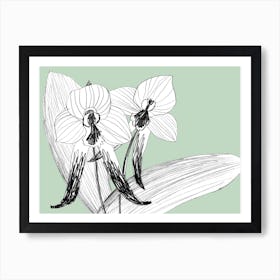 Expressive Orchids 3 Art Print