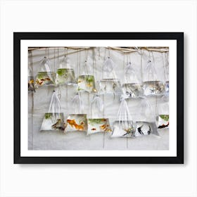 The Wall Of Fish Art Print