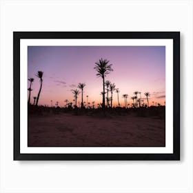 Sunset Desert Palms, Morocco Poster