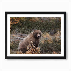 Autumn Brown Bear Art Print