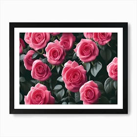 Pink Roses 13 Art Print