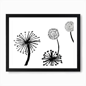 Dandelions Black and White Art Print