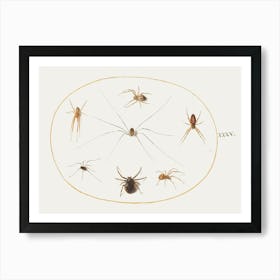 Eight Spiders (1575–1580), Joris Hoefnagel Art Print