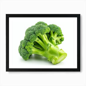 Broccoli 9 Art Print