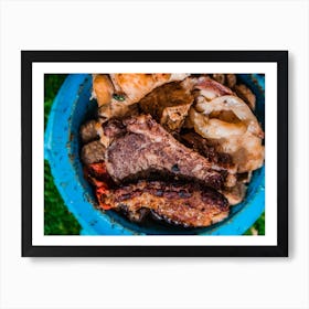 Different Kinds Of Grilled Meat Pieces In Dog Food Bowl Art Print