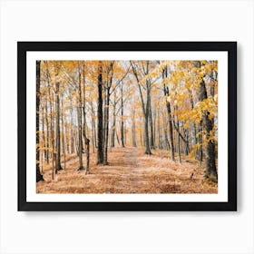 Yellow Leaf Forest Views Art Print