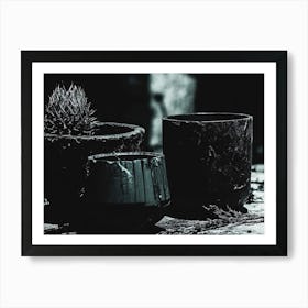 Pots And Cactus Art Print