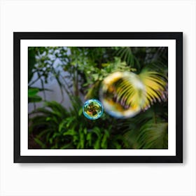 Soap Bubbles Fly In The Garden Art Print