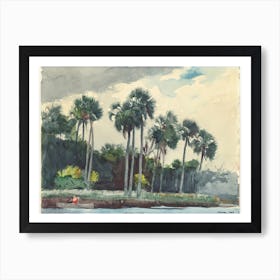 Red Shirt, Homosassa, Florida (1904), Winslow Homer Art Print