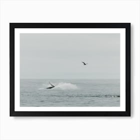 The whale splash and the bird | Ocean life | United States of America Art Print