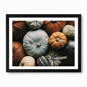 Colorful Pumpkin Harvest Art Print