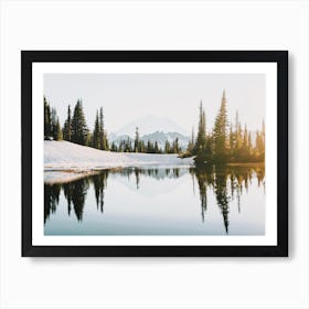 Winter Pine Tree Reflection Art Print