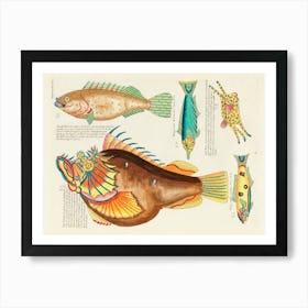 Colourful And Surreal Illustrations Of Fishes Found In Moluccas (Indonesia) And The East Indies, Louis Renard(93) Art Print