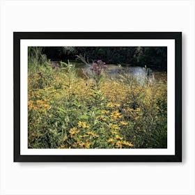 Wildflowers 1 Art Print