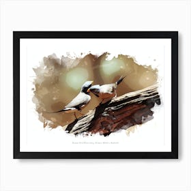 Broome Bird Observatory, Broome, Western Australia Art Print