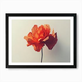 Orange Poppy Flower Art Print