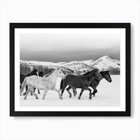 Wild Horses In Wyoming Art Print