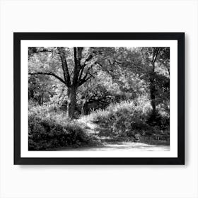 Tree Scenery 1 Art Print