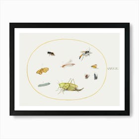 A Grasshopper, A Caterpillar, A Butterfly, A Moth, And Other Insects, (1575–1580), Joris Hoefnagel Art Print