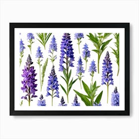 Nature Pattern Isolate White Arrangement Purple Flat Floral Blue Natural Herbal Medicine (7) Art Print