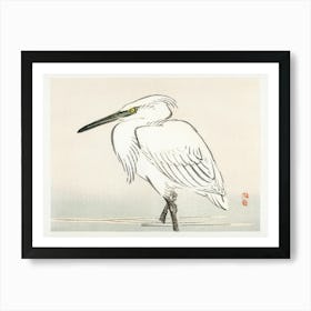 Snowy Egret, Kōno Bairei Art Print
