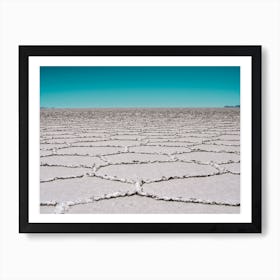 Salar Art Print