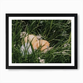 Easter Eggs In Grass 1 Art Print