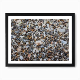 Tiny And Large Sea Shell And Rocks Texture Background 4 Art Print