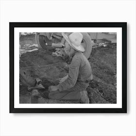 Young Mexican Boy, Carrot Worker, Eating Second Breakfast In Field Near Santa Maria, Texas, The Lunches Of The Art Print