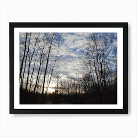 Sunrise Over The Woods Art Print