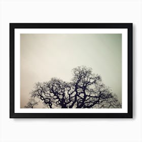 Skeleton Tree Art Print