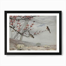 Birds On A Branch 6 Art Print