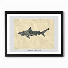 Common Thresher Shark Silhouette 4 Poster Art Print