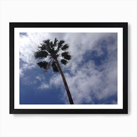 Palm Tree 5 Art Print