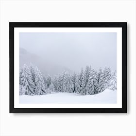 Winter wonderland | Snowy pine trees in the mist | Austria  Art Print