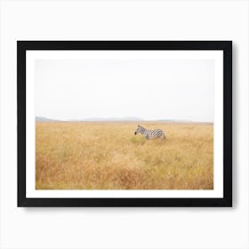 Picture Perfect Art Print