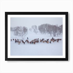 Horses In Winter Art Print