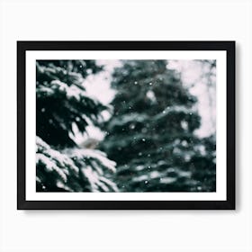 Snow And Trees Art Print