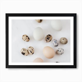 Quail Eggs 26 Art Print