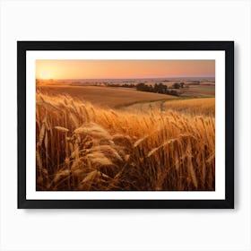 Golden Wheat Field At Sunset Art Print