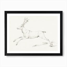 Reindeer Sketch Art Print